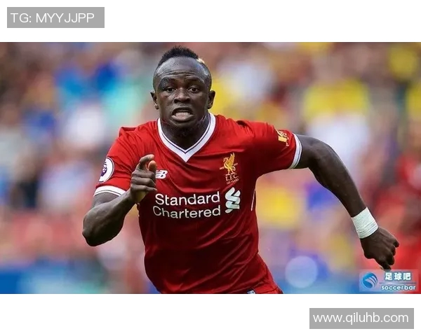 维纳尔杜姆的足球之路与职业生涯的辉煌成就解析