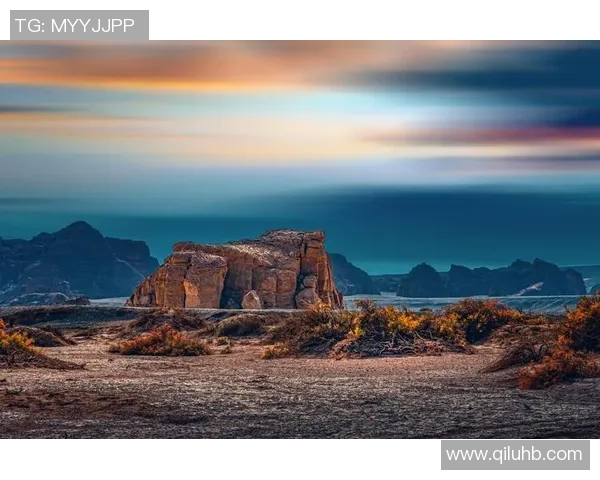 鸟人安德森的奇幻旅程与心灵探索之路