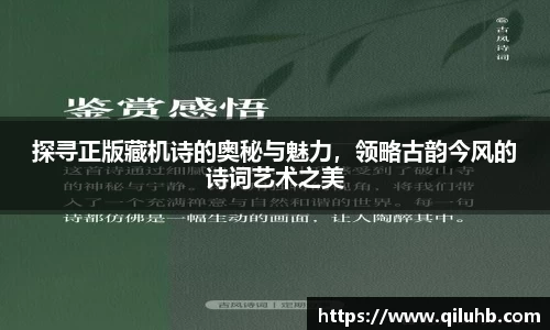 探寻正版藏机诗的奥秘与魅力，领略古韵今风的诗词艺术之美
